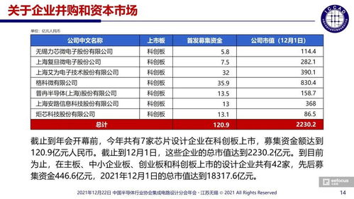 ICCAD 2021魏少軍教授演講實錄 集成電路芯片設計與服務的新篇章