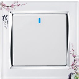 供應(yīng)家裝墻壁開(kāi)關(guān)插座，打造安全便捷生活空間
